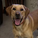 Profile Picture of Shelley Lange (@shelley.lange.1) on Facebook