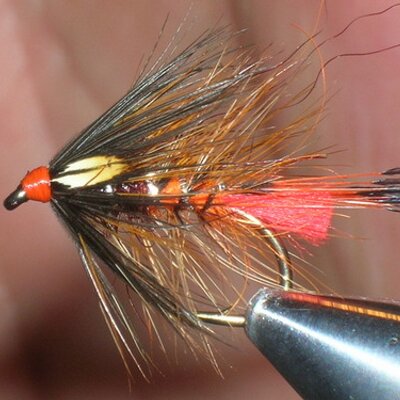 Profile Picture of Robert Wason (@frazzlefly) on Twitter