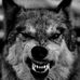 Profile Picture of Michael Poska (@michael.poska.5) on Facebook