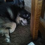 Profile Picture of Jodi Kirby (@jodi.kirby.71) on Instagram
