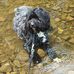 Profile Picture of Sheila Williamson (@sheila.williamson.31521) on Facebook