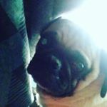 Profile Picture of Chris Westbrook (@fearskull_666) on Instagram