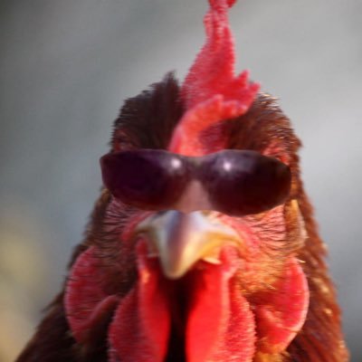 Profile Picture of Pizarro (@alex108mtz) on Twitter