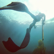 Jeff Forster - Youtube Profile Picture of Jeff Forster (@SpearEmDead) on Youtube