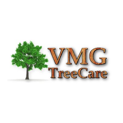 Profile Picture of Brian Verdi (@vgmtreecare1) on Twitter