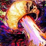 Reece Bradley - Instagram Profile Picture of Reece Bradley (@reece_bradley_) on Instagram