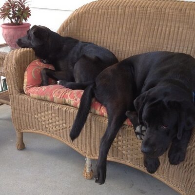 Profile Picture of Kenneth Kraus (@gints86) on Twitter