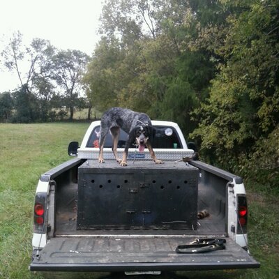 Profile Picture of Jesse Prater (@PraterJesse) on Twitter