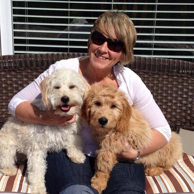 Profile Picture of Kim Borgeson (@Borgeson231) on Twitter