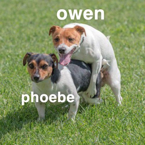 Profile Picture of 🥵🥵😛 (@owen.shags.phoebe69) on Tiktok