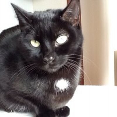 Adrian Vine - Twitter Profile Picture of Adrian Vine (@adriandhvine) on Twitter