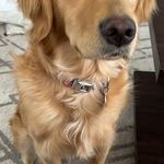 Profile Picture of Heather Hudon (@heather_hudon) on Instagram