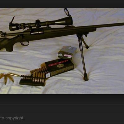 Devin Blake McFadden - Twitter Profile Picture of Devin Blake McFadden (@McfaddenDevin) on Twitter