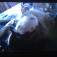 Profile Picture of Justin Bernal (@justin-bernal-5) on Quora