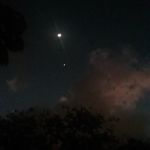 Profile Picture of Tracy Walraven (@shopgirl4983) on Instagram