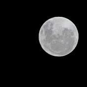 Profile Picture of David Morales (@David2Mor) on Youtube