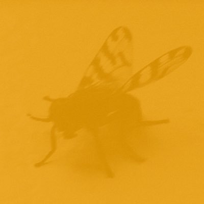 Profile Picture of Jonah Kelly (@jonahkelly123) on Twitter