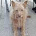 Profile Picture of Linda F Rees (Linda Ferries Rees) (@linda.rees.18007) on Facebook