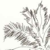 Profile Picture of Charles Brain (@charlesbrain3872) on Youtube