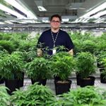 Profile Picture of Mark Rollings (@markyrollings) on Instagram