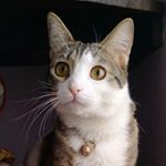 Susan Khanum - Instagram Profile Picture of Susan Khanum (@sooosan_khanooom) on Instagram