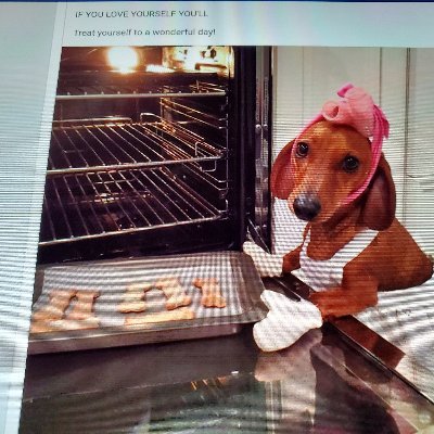 Profile Picture of Casey Lucas (@CaseyLu12820763) on Twitter