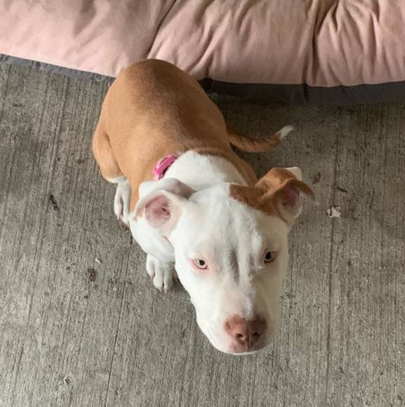 Profile Picture of Jacob Banda (@jacobb144) on Poshmark