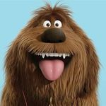 Profile Picture of Roberto Ossandón (@ossandon.roberto) on Instagram