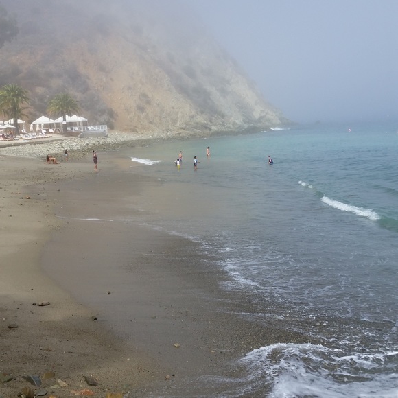 Profile Picture of David Molnar (@davem213) on Poshmark