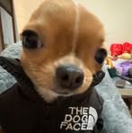 Profile Picture of Derek Carman (@Derek-Carman) on Facebook