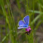 Profile Picture of Ibolya Veres (@veresibi) on Flickr