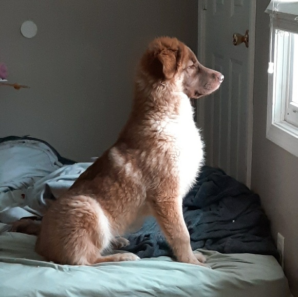 Profile Picture of Mike Everling (@neverling) on Poshmark