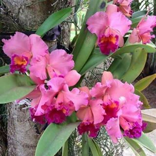 Profile Picture of Wilma Lugo (@wilma.lugo.980) on Facebook