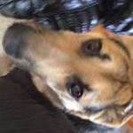 Profile Picture of Mitchell Caron (@mitchell_the_life) on Instagram