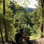 Profile Picture of Daniel Lorrigan (@danlorrigan) on Instagram