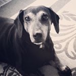 Profile Picture of Christine Damiani (@chrismdamiani) on Instagram