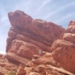 Profile Picture of Chad Bramble (@brambledeggs00) on Instagram