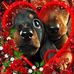 Profile Picture of Dona Reale (@dona.reale.5496) on Facebook