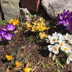 Profile Picture of Richard Fenton (@richard.fenton.505) on Instagram