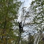 Profile Picture of Eric Peppler (@eric.peppler.9) on Facebook