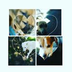 Profile Picture of emma rae blake (@bootandguns_24) on Instagram