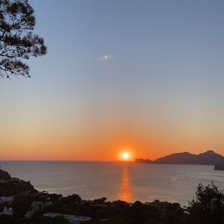 Profile Picture of grefusa (@pipasssg) on Tiktok