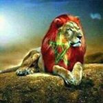 Profile Picture of Adam Twiss (@adam.twiss.180) on Instagram