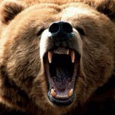 Michael Cherny - Twitter Profile Picture of Michael Cherny (@chernymi) on Twitter