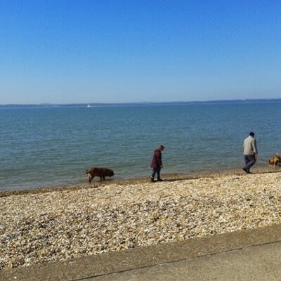 Profile Picture of Michael John Laming (@MMLAMING) on Twitter