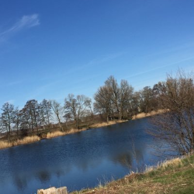 Profile Picture of Lydia Werner (@werner_werner2) on Twitter