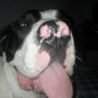 Profile Picture of Jason1975 (@jasonchretien) on Twitter