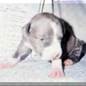 Profile Picture of LoveyDoveyDeathDeath (@LoveyDoveyDeathDeath) on Youtube