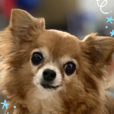 Profile Picture of Scott Oshiro (@KICHI808) on Twitter