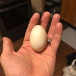 Profile Picture of Mathew Breselow (@breselowfamilyfarms) on Instagram